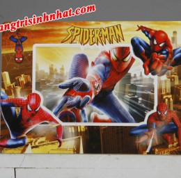 Khung hình trang trí người nhện Spiderman